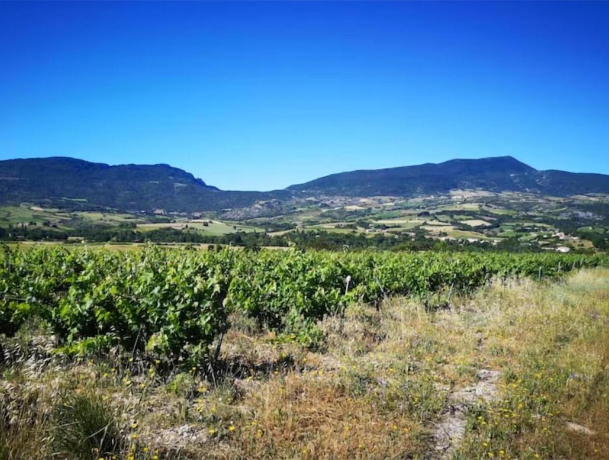 Le Cigalou - Drome Provencale Villa Sainte-Jalle Екстериор снимка